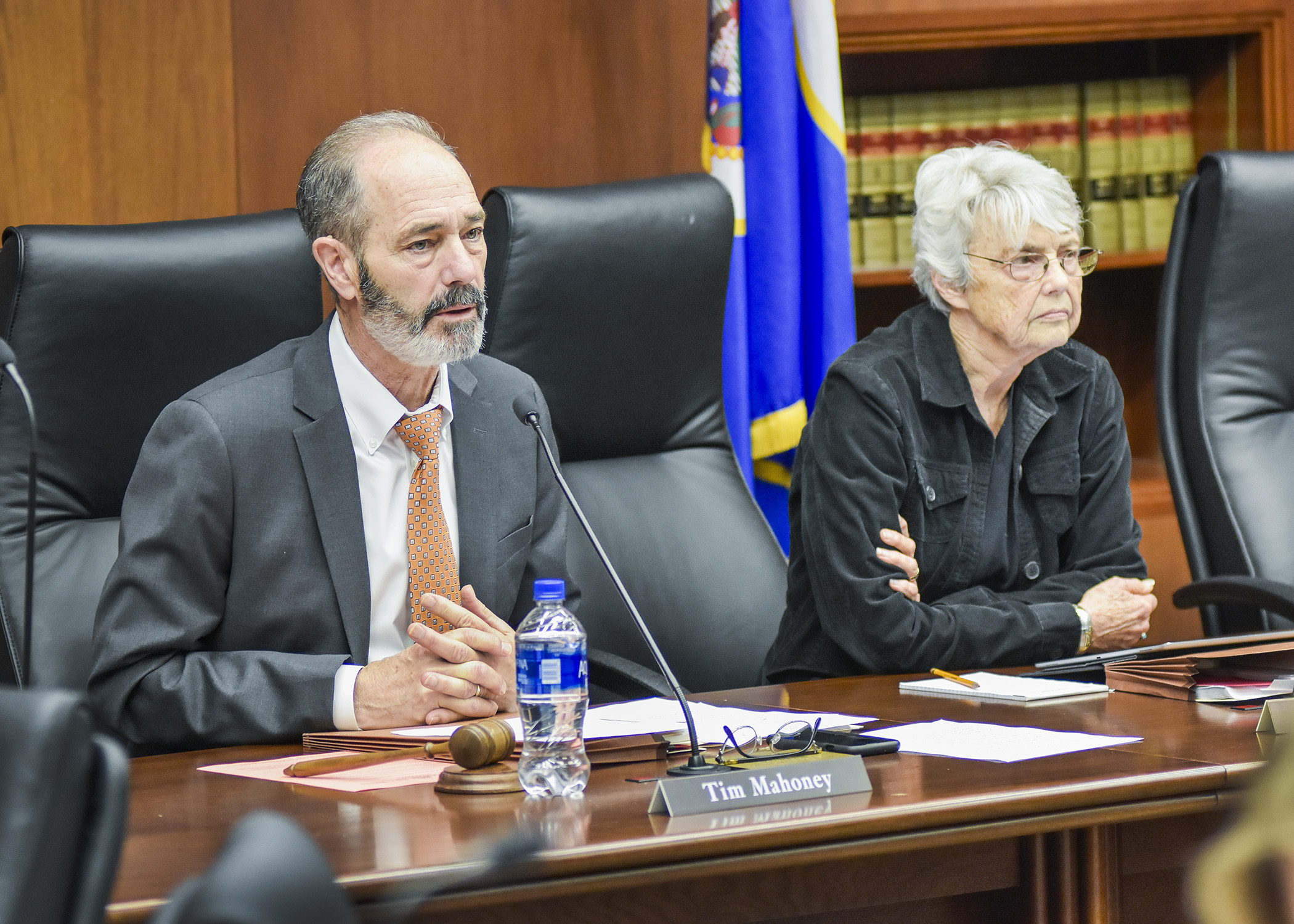 Rep. Tim Mahoney and Rep. Jean Wagenius make comments during a May 23 informational hearing on the omnibus jobs and energy agreement that will be taken up during the special session. Photo by Andrew VonBank